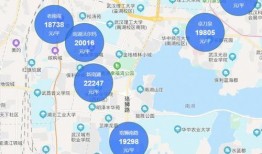 武汉洪山区最新爆料,揭秘神秘事件背后的真相